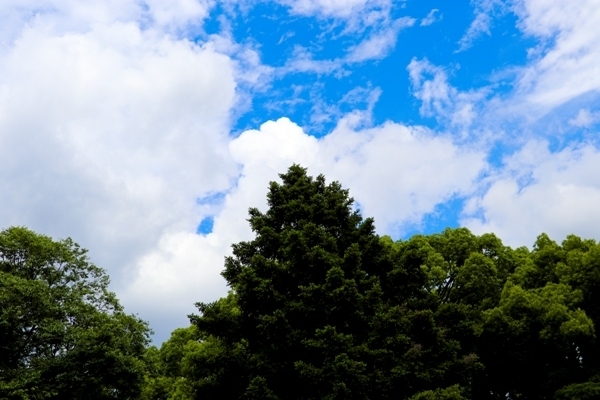 IMG_7728.JPG