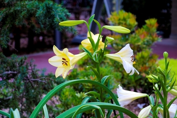 IMG_7773.JPG